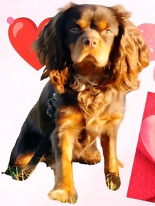 Paco