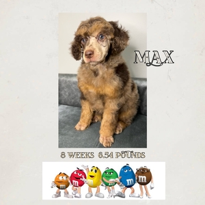 max