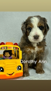 DorothyAnn